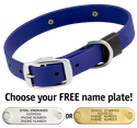 ROYAL BLUE BIG DAWG 1 in. Biothane Standard Collar