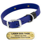  shop LASER BIG DAWG -- ROYAL BLUE 1 in. Biothane Standard Collar