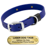 LASER BIG DAWG -- ROYAL BLUE 1 in. Biothane Standard Collar