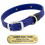 LASER BIG DAWG -- ROYAL BLUE 1 in. Biothane Standard Collar