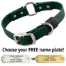 FOREST GREEN BIG DAWG 1 in. Biothane O-Ring Collar