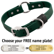  shop FOREST GREEN BIG DAWG 1 in. Biothane O-Ring Collar