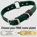 FOREST GREEN BIG DAWG 1 in. Biothane O-Ring Collar