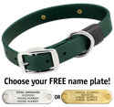 FOREST GREEN BIG DAWG 1 in. Biothane Standard Collar