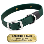  shop LASER BIG DAWG -- FOREST GREEN 1 in. Biothane Standard Collar