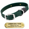 LASER BIG DAWG -- FOREST GREEN 1 in. Biothane Standard Collar