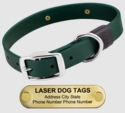LASER BIG DAWG -- FOREST GREEN 1 in. Biothane Standard Collar
