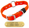 HUNTER ORANGE BIG DAWG 1 in. Biothane O-Ring Collar