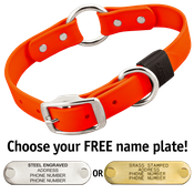  shop HUNTER ORANGE BIG DAWG 1 in. Biothane O-Ring Collar