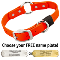  shop HUNTER ORANGE BIG DAWG 1 in. Biothane O-Ring Collar