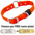 HUNTER ORANGE BIG DAWG 1 in. Biothane O-Ring Collar