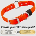 HUNTER ORANGE BIG DAWG 1 in. Biothane O-Ring Collar
