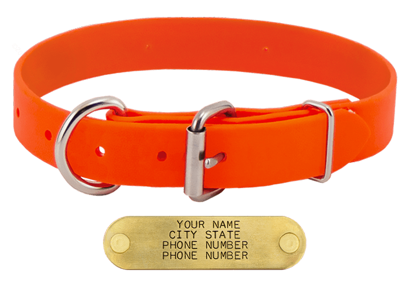 ORANGE BIG DAWG 1 in. SuperHeavy Biothane DEnd Collar. 16.99.