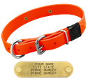 HUNTER ORANGE BIG DAWG 1 in. Biothane D-End Collar