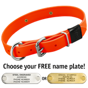  shop HUNTER ORANGE BIG DAWG 1 in. Biothane D-End Collar