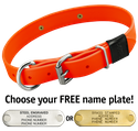 HUNTER ORANGE BIG DAWG 1 in. Biothane D-End Collar