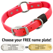  shop HOT PINK BIG DAWG 1 in. Biothane O-Ring Collar