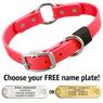 HOT PINK BIG DAWG 1 in. Biothane O-Ring Collar