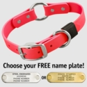 HOT PINK BIG DAWG 1 in. Biothane O-Ring Collar