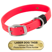  shop LASER BIG DAWG -- HOT PINK 1 in. Biothane Standard Collar