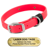LASER BIG DAWG -- HOT PINK 1 in. Biothane Standard Collar