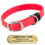 LASER BIG DAWG -- HOT PINK 1 in. Biothane Standard Collar