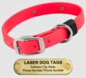 LASER BIG DAWG -- HOT PINK 1 in. Biothane Standard Collar