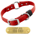 CHERRY RED BIG DAWG 1 in. Biothane O-Ring Collar