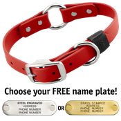 shop CHERRY RED BIG DAWG 1 in. Biothane O-Ring Collar