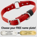 CHERRY RED BIG DAWG 1 in. Biothane O-Ring Collar
