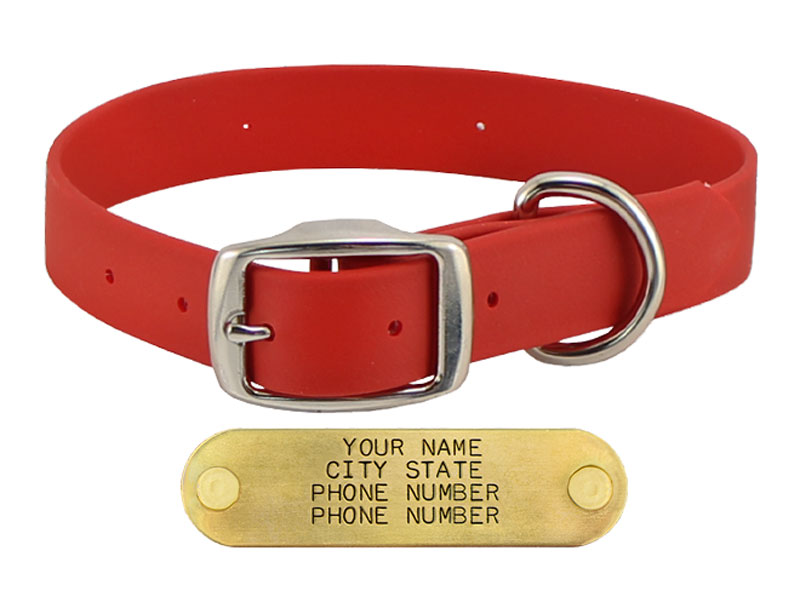RED BIG DAWG 1 in. SuperHeavy Biothane Standard Collar. 14.99.