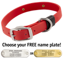 CHERRY RED BIG DAWG 1 in. Biothane Standard Collar