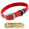 LASER BIG DAWG -- CHERRY RED 1 in. Biothane Standard Collar