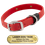 LASER BIG DAWG -- CHERRY RED 1 in. Biothane Standard Collar