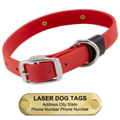  shop LASER BIG DAWG -- CHERRY RED 1 in. Biothane Standard Collar