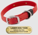 LASER BIG DAWG -- CHERRY RED 1 in. Biothane Standard Collar