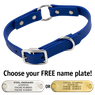 THE little DAWG -- ROYAL BLUE 3/4 in. Biothane O-Ring Collar -- 15 in. Neck