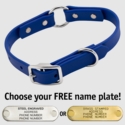 THE little DAWG -- ROYAL BLUE 3/4 in. Biothane O-Ring Collar -- 15 in. Neck