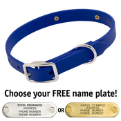 shop THE little DAWG -- ROYAL BLUE 3/4 in. Biothane Standard Collar