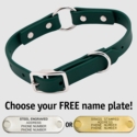THE little DAWG -- FOREST GREEN 3/4 in. Biothane O-Ring Collar -- 15 in. Neck