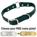 THE little DAWG -- FOREST GREEN 3/4 in. Biothane O-Ring Collar -- 15 in. Neck