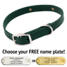 THE little DAWG -- FOREST GREEN 3/4 in. Biothane Standard Collar