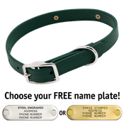  shop THE little DAWG -- FOREST GREEN 3/4 in. Biothane Standard Collar