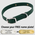 THE little DAWG -- FOREST GREEN 3/4 in. Biothane Standard Collar