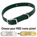 THE little DAWG -- FOREST GREEN 3/4 in. Biothane Standard Collar