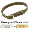 THE little DAWG -- OLIVE GREEN 3/4 in. Biothane Standard Collar