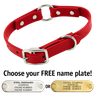 THE little DAWG -- CHERRY RED 3/4 in. Biothane O-Ring Collar -- 15 in. Neck