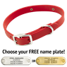 THE little DAWG -- CHERRY RED 3/4 in. Biothane Standard Collar