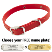 shop THE little DAWG -- CHERRY RED 3/4 in. Biothane Standard Collar