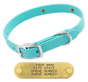 THE little DAWG -- SKY BLUE 3/4 in. Biothane Standard Collar